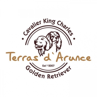 Logótipo TERRAS D'ARUNCE LDA