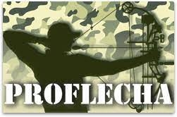 Logótipo PROFLECHA