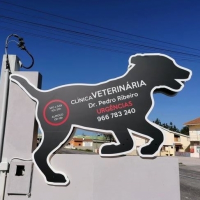 Logótipo CLÍNICA VETERINÁRIA DR PEDRO RIBEIRO